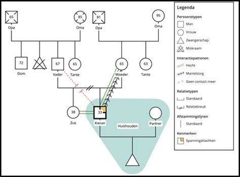 hoe maak je een genogram|MindOnMap Genogram Maker Online:。